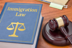 Immigration-Law-Project-ILP